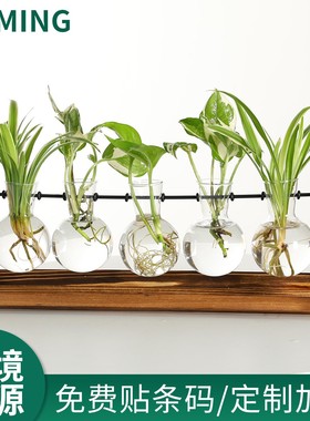 创意玻璃水培小花瓶绿萝透明小清新水养植物桌面装饰摆件客厅定制