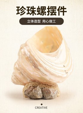 创意简约真海螺摆件家居田园室内卧室客厅插花装饰工艺品摆件定制