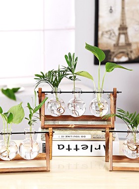 家居水培植物瓶摆件透明木架花瓶桌面小清新容器简约植物装饰定制