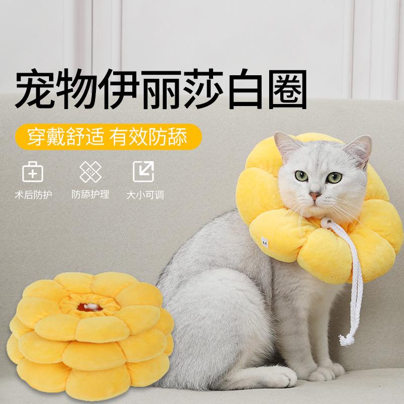 太阳花伊丽莎白圈猫咪防