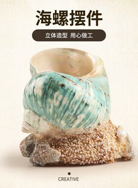 天然真海螺摆件 室内家居客厅卧室插花装饰工艺品摆件定制