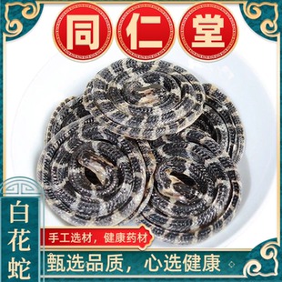 小白花蛇小水蛇打粉蕲蛇真品 同仁堂金钱白花蛇整条泡酒正品