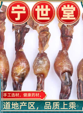 中药材狗鞭 黄狗肾 泡酒鞭 新鲜干鞭 泡酒料鞭 滋补鞭泡酒