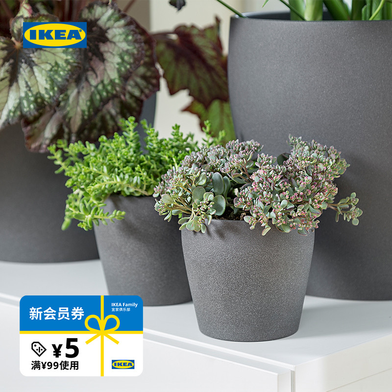 ikea宜家persillade深灰色花盆