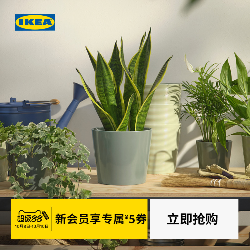 IKEA宜家SOJABONA索比那装饰花盆多肉绿萝盆栽阳台室内桌面家用