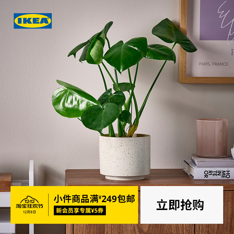 IKEA宜家桑雪斯拜装饰花盆