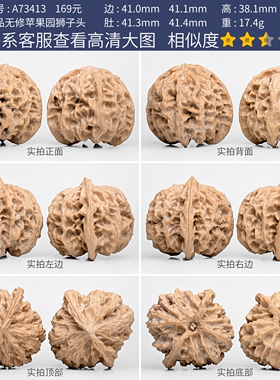 文玩核桃苹果园核桃一物一图A73413全品无修苹果圆狮子头盘玩41mm