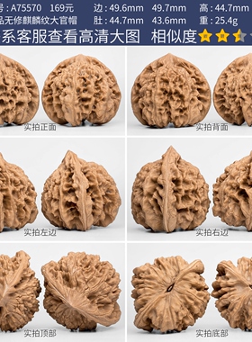 文玩核桃麒麟纹官帽核桃一物一图A75570全品无修王勇官帽大尺50mm