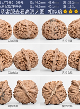文玩核桃精品宫灯核桃一物一图A75480老树白茬狮子头矮桩桃心44mm