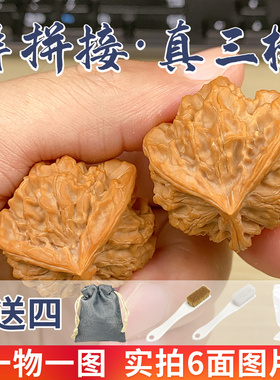 文玩核桃一物一图三棱人字丁字正奔帝王大尺寸三道筋三菱异形手捻