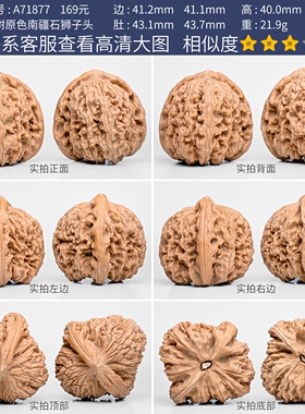 文玩核桃南疆石核桃一物一图A71877老树白茬南将石狮子头盘玩41mm