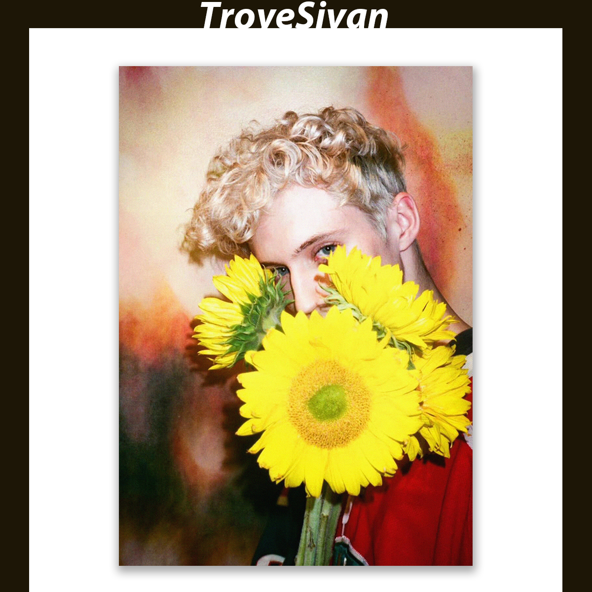 TroyeSivan戳爷海报/特洛耶·希文/自印周边装饰画POSTERBOY