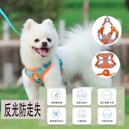 Bomei Teddy Corgi Dog Traction Tracting Topting Anti -Night Light Dog Chain маленькая средняя собака с собачьем грудью для петли