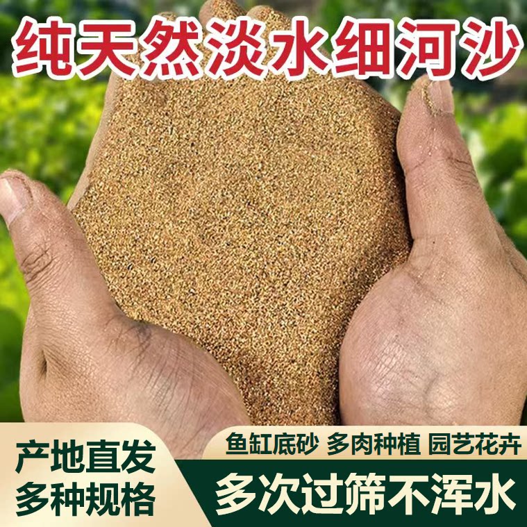 河沙养花种植土壤黄沙子鱼缸底砂多肉铺面扦插水族专用沙子铺面土