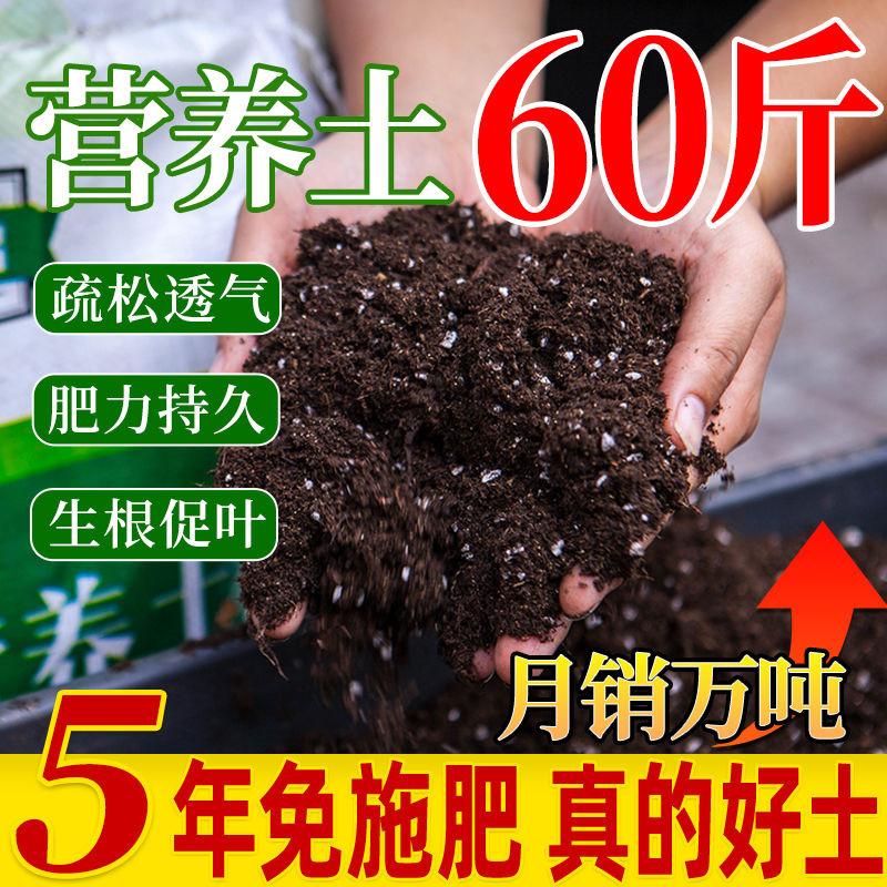 营养土家用养花种菜专用土多肉盆栽黑土通用型种植土土壤花土肥料