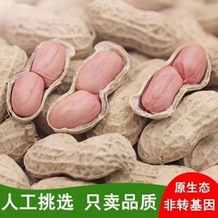 2025正阳小白沙花生带壳生花生晒干罗汉果小花生老品种净重发货