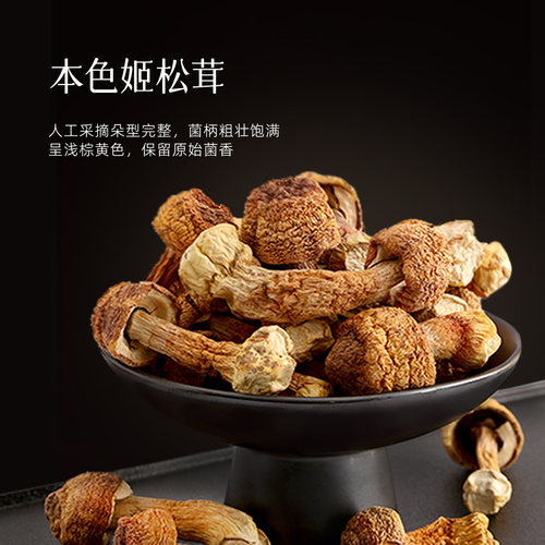 本色姬松茸新鲜正宗干货煲汤鲜香