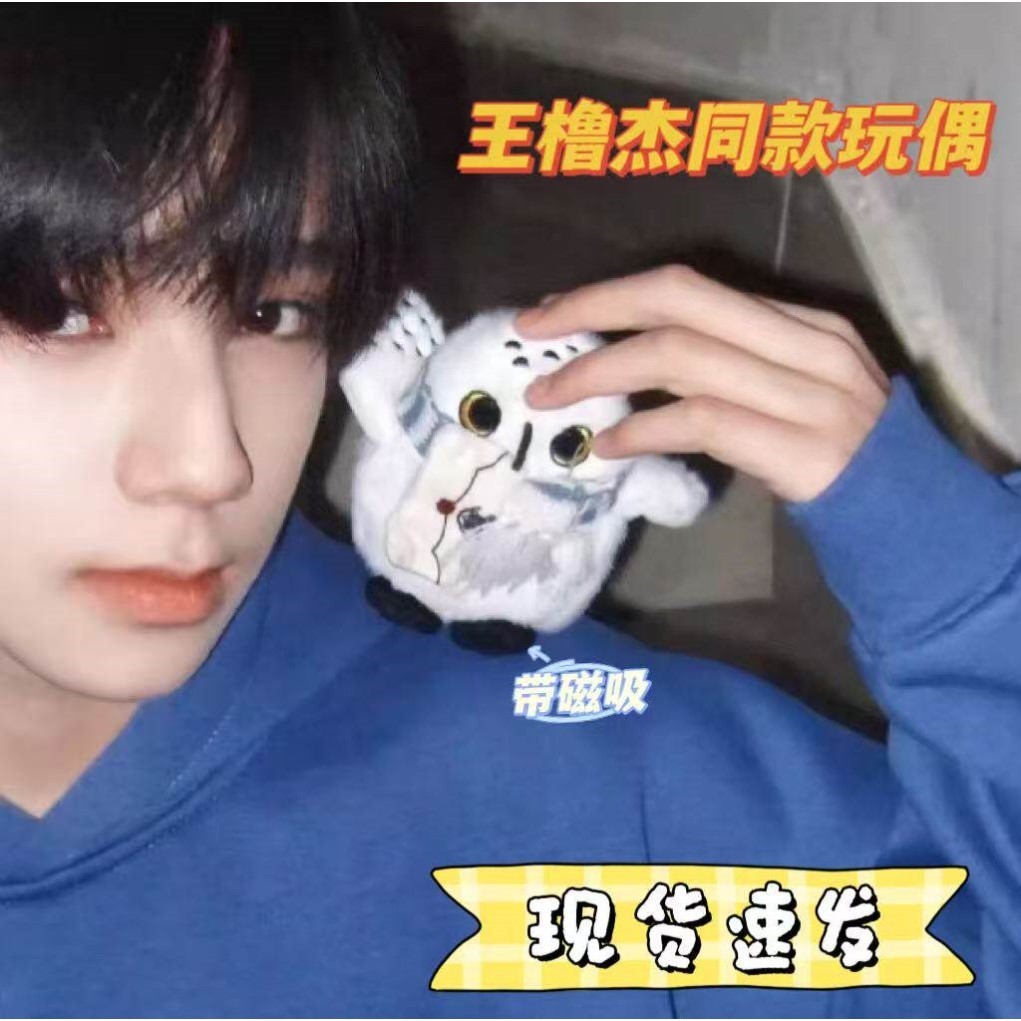 王橹杰同款围巾海德薇站肩磁吸公仔可爱毛绒玩偶具猫头鹰挂件配图片