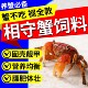 相手蟹饲料高蛋白固甲迷你寄居将军恶魔辣椒观赏蟹下沉补钙专用粮