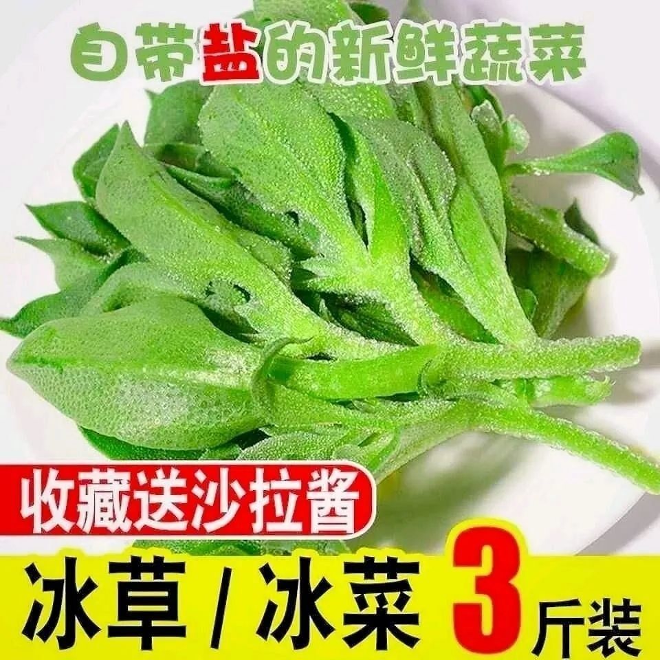 冰草新鲜蔬菜5斤冰菜蔬菜非洲花冰叶火锅即食生吃沙拉菜整箱包邮
