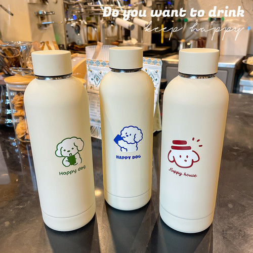 不锈钢水杯网红便携ins风杯子