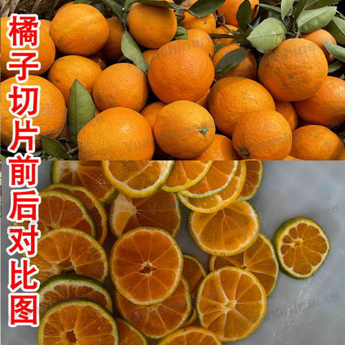 1cm厚切多口水果蔬菜切片机