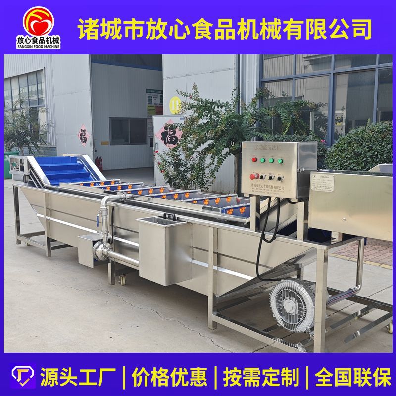 韭菜清洗机全自动蔬菜清洗机小葱芹菜蒜薹韭菜苔气泡喷淋清洗设备
