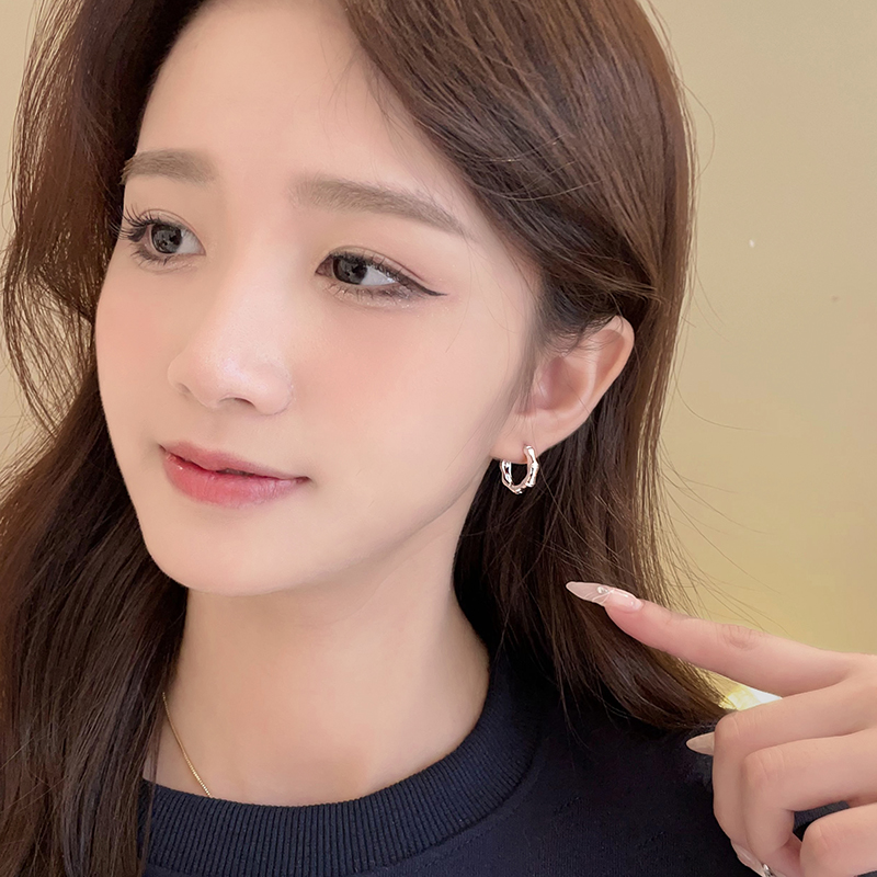 银色竹节气质耳环女2024新款爆款高级感耳钉轻奢小众设计耳饰耳坠
