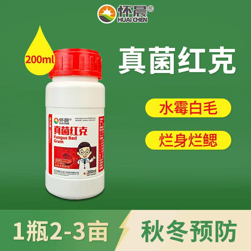 真菌红克鱼药治疗水霉病白毛鳃霉腐皮烂身灵泥鳅虾蟹鱼塘水产养殖