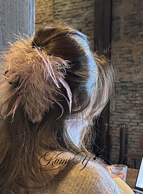 韩系氛围感紫色羽毛抓夹女温柔气质高颜值后脑勺鲨鱼夹盘发发饰