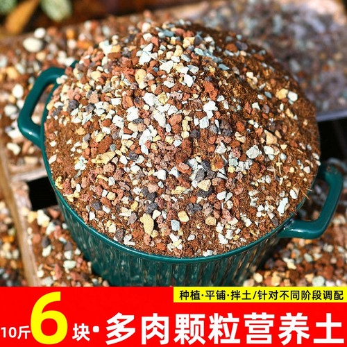 限时降价纯颗粒土10斤