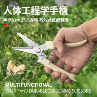 花艺修枝剪弹簧手动摘果专用农用剪刀园艺修剪树枝工具实用耐用型