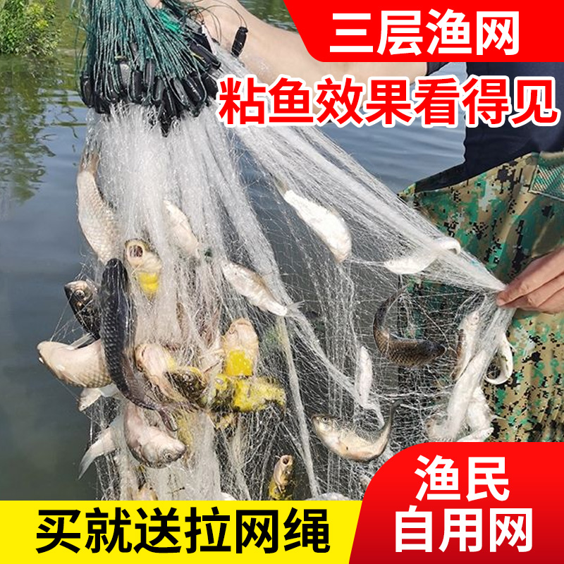 渔网粘网丝网三层沉网单层浮网挂子鱼网捕鱼网鲫鱼鲢鱼白条网沾网 户外/登山/野营/旅行用品 鱼网/虾笼/其它渔具 原图主图