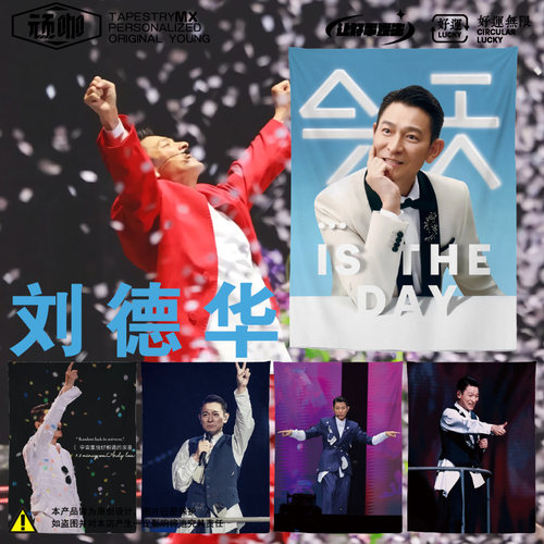 卧室宿舍房间改造海报挂布刘德华网红打卡拍照留念墙纸背景墙挂布