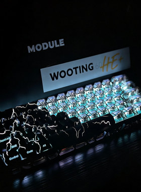 wootingv2满改键盘全新pcb改装客制化定制键帽铝壳磁轴旗舰店现货