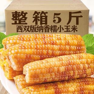 整箱5斤即食新鲜花糯玉米棒早餐 云南西双版 纳香糯小玉米真空包装