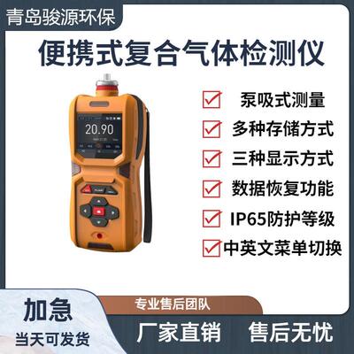 复合气体分析报警仪可实时检测或定时可燃性气体仪