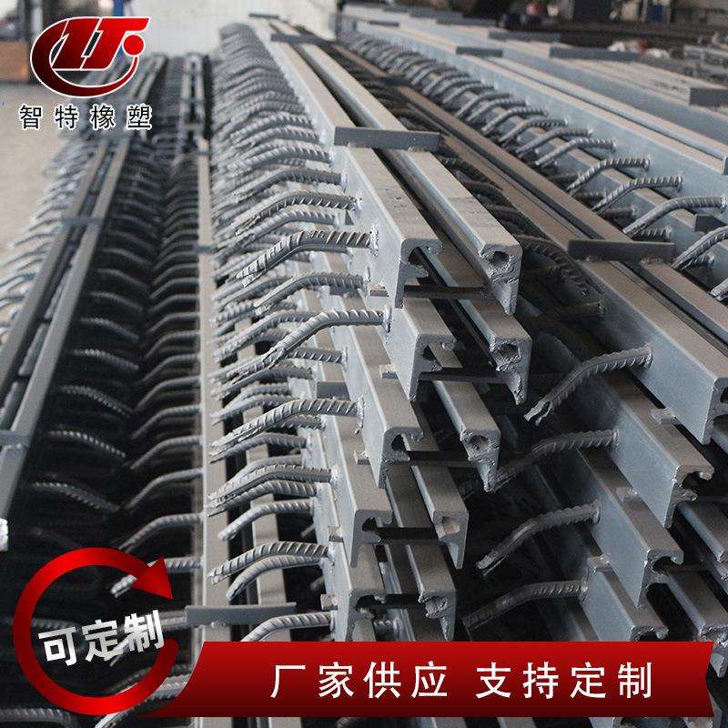 多向变位加固桥梁伸缩缝F型大跨径桥梁伸缩缝公路建筑伸缩缝