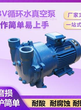 2BV2061水环式真空泵木工机械配套真空吸附穗诚现货