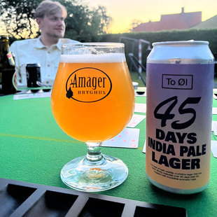 【小女贼】图乐 四十五天酒花拉格 酒花拉格 听装 440ml 精酿啤酒