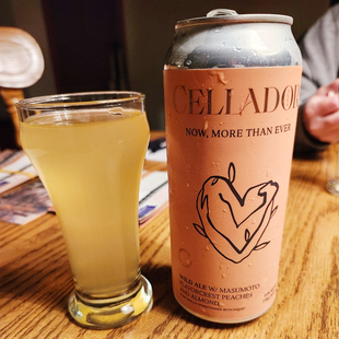 【小女贼】塞拉多艾尔 把握现在 增味过桶混酿艾尔 听装 精酿啤酒