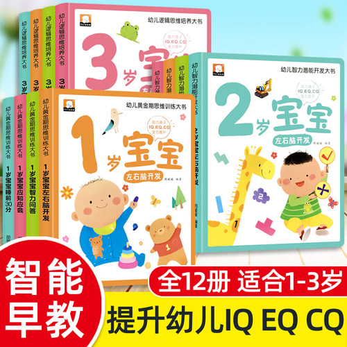 全12册幼儿逻辑思维启蒙大书
