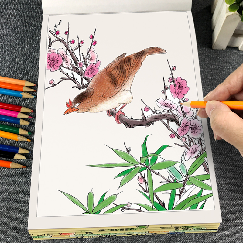 中国画入门篇工笔画白描描摹本