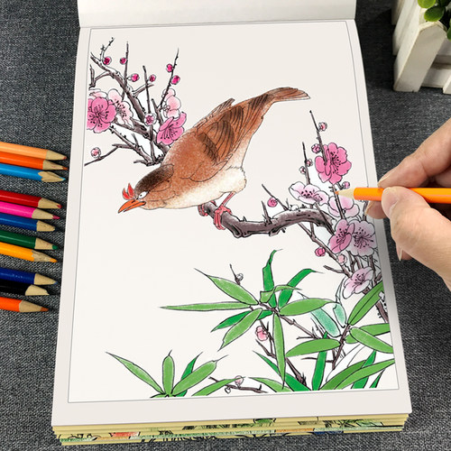中国画入门篇工笔画白描描摹本