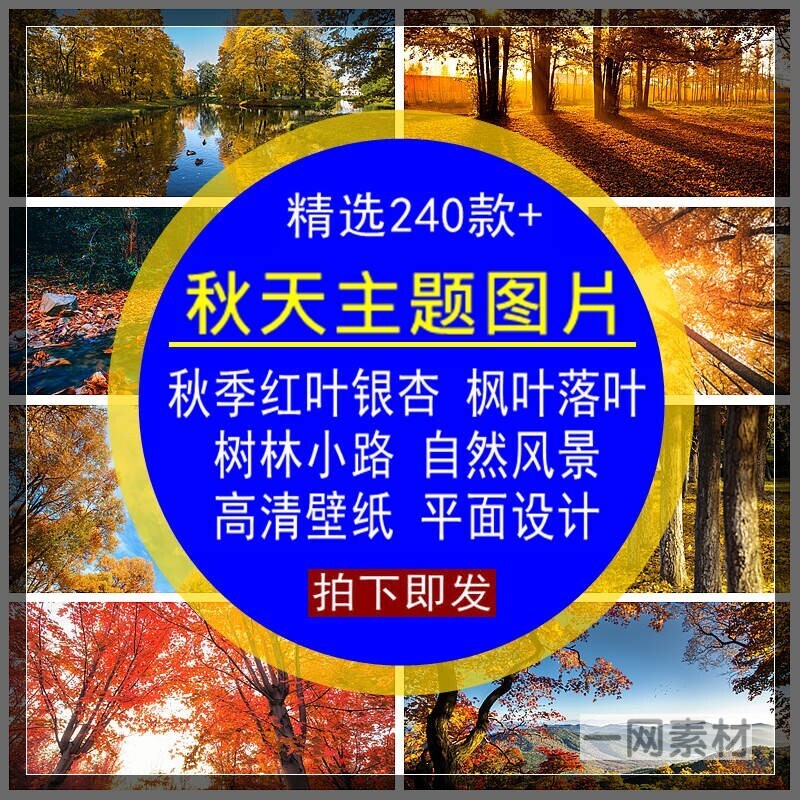 秋天主题图片秋季红叶枫落叶树林自然美风景高清JPG平面设计素材
