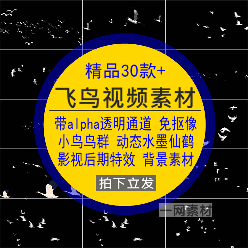 飞鸟视频带alpha透明通道鸟群影视剪辑免抠动态特效AE/PR后期素材