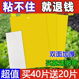 双面粘虫板果蝇诱虫板菜地驱虫神器驱蚊蝇针蜂苍蝇防虫贴蓟马黄板