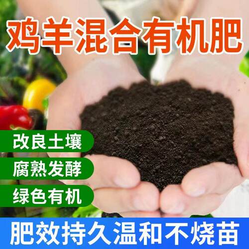 蔬菜长不大？鸡羊粪肥长效供营养