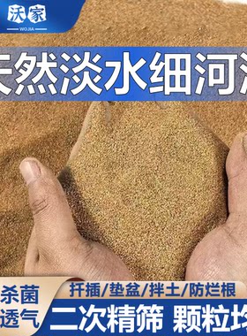 纯天然淡水河沙鱼缸造景底沙养花专用沙多肉种植沙乌龟冬眠下蛋沙