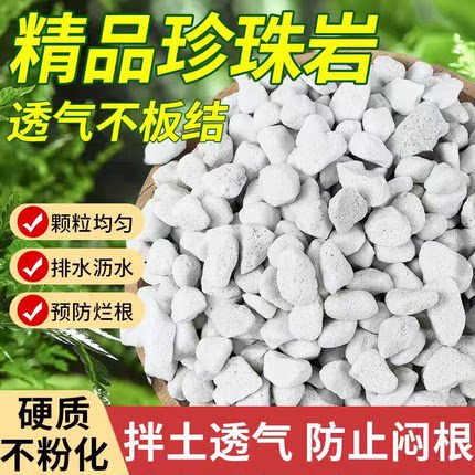 优质珍珠岩硬质软质透气大颗粒养花拌土铺面扦插多肉兰花通用型